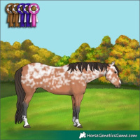 Horse Color:Bay Ice 