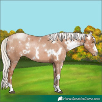 Horse Color:White Spotted Silver Black Pearl 