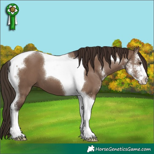 Horse Color:Liver Red Dun Sabino Tobiano 