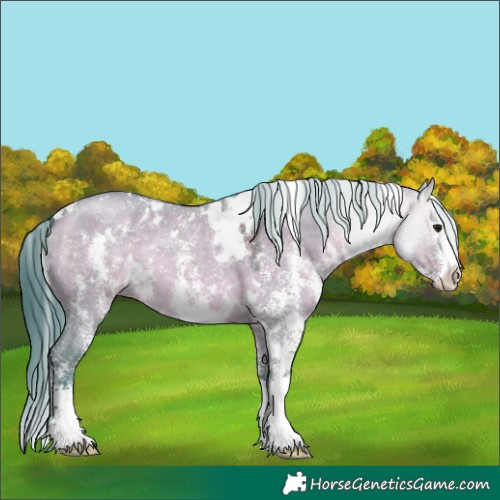 Horse Color:Watercolor White Spotted Brown Dun Sabino 