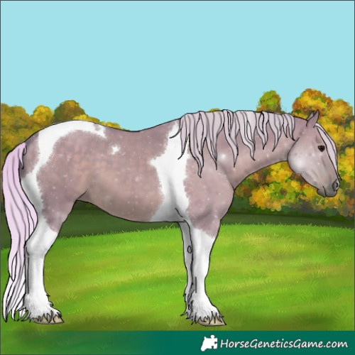 Horse Color:Watercolor Silver Grullo Tobiano 