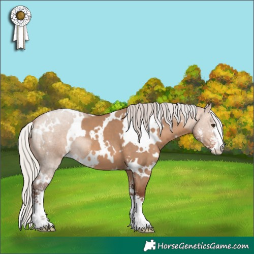 Horse Color:White Spotted Silver Bay Dun Sabino 