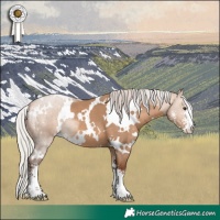 Horse Color:White Spotted Silver Bay Dun Sabino