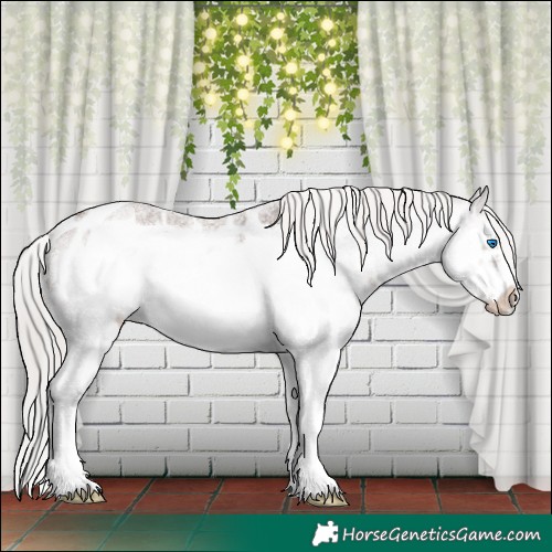 Horse Color:Silver Blue Roan Sabino Splash Frame Near Leopard 