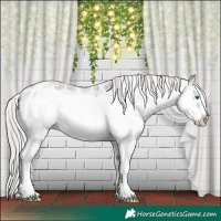 Horse Color:Silver Blue Roan Sabino Splash Frame Near Leopard 