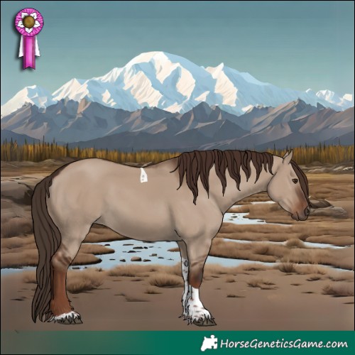 Horse Color:Liver Red Dun Tobiano 