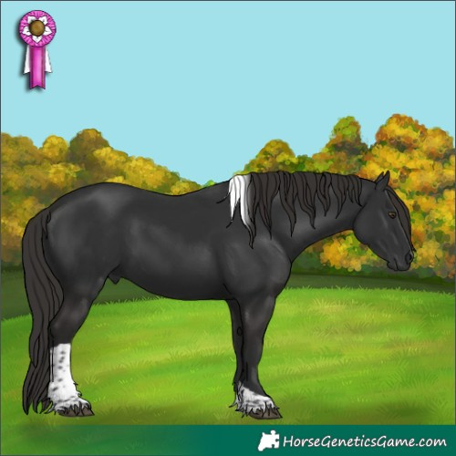 Horse Color:Liver Chestnut Tobiano 