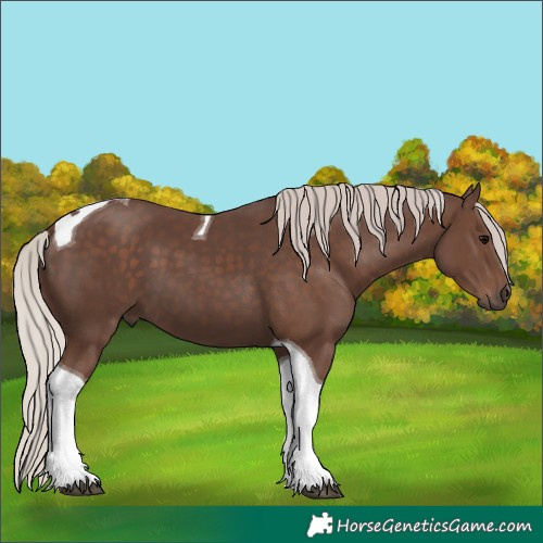Horse Color:Silver Black Tobiano 