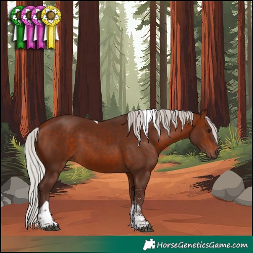 Horse Color:Silver Bay Sabino Tobiano Rabicano 
