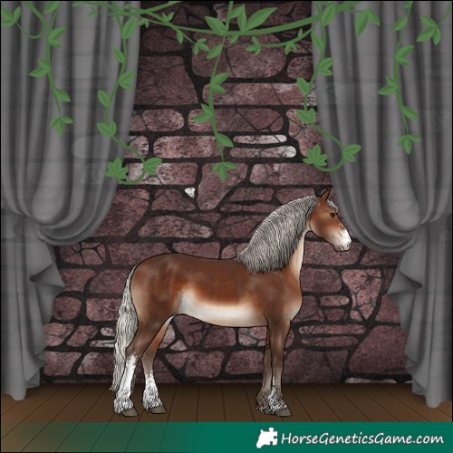 Horse Color:Silver Brown Sabino 