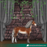Horse Color:Silver Brown Sabino 