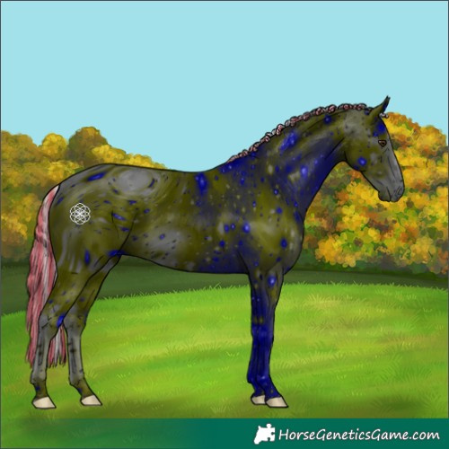 Horse Color:ERROR: UNKNOWN ANOMALY