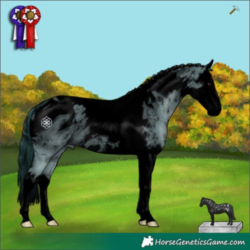 Horse Color:ERROR: UNKNOWN ANOMALY