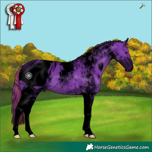 Horse Color:ERROR: UNKNOWN ANOMALY