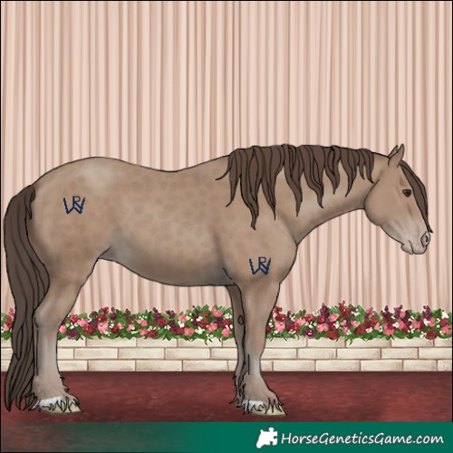 Horse Color:Classic Champagne 