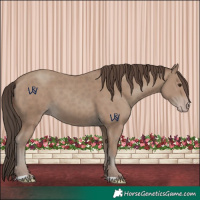 Horse Color:Classic Champagne 