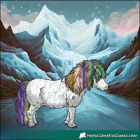 Horse Color:Painted Black Ice Leopard 