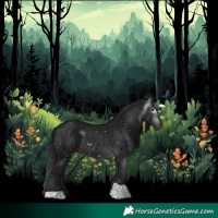 Horse Color:Gray Brown Tobiano 