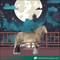 Horse Color:Gray Silver Brown Dun Tobiano 