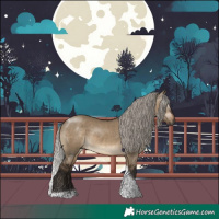 Horse Color:Gray Silver Brown Dun Tobiano 