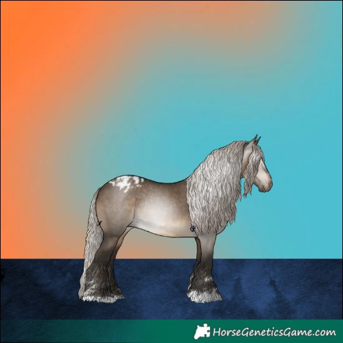 Horse Color:Gray Silver Brown Dun Appaloosa Rabicano 