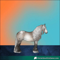Horse Color:Gray Silver Brown Dun Appaloosa Rabicano 