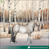 Horse Color:Gray Brown Dun Tobiano Varnish Rabicano 