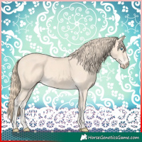 Horse Color:Perlino 
