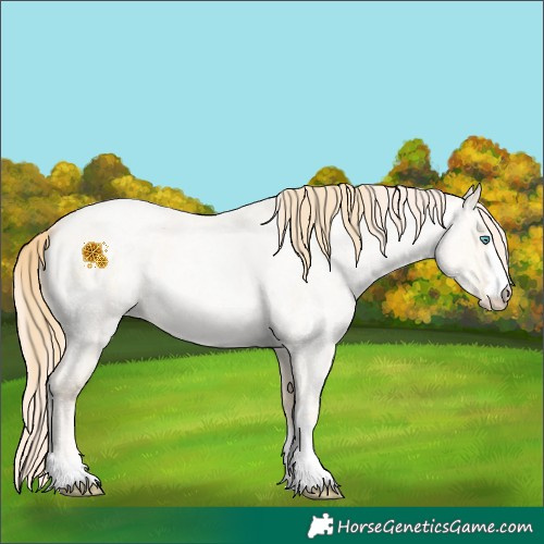 Horse Color:Buckskin Roan Pearl  and Amber Cream Champagne Roan Pearl 