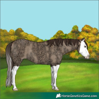 Horse Color:Liver Red Dun Ice Splash 