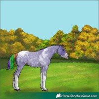 Horse Color:Painted Watercolor Liver Red Roan Tobiano Appaloosa 
