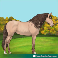 Horse Color:Amber Champagne 