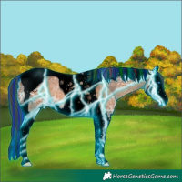 Horse Color:Void Painted Thunderstruck Bay Ice Splash Tobiano 