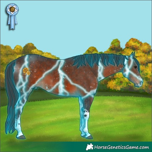 Horse Color:Thunderstruck Brown Sabino Tobiano 