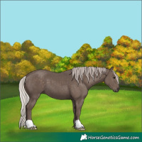 Horse Color:Silver Black 