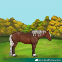 Horse Color:Silver Brown