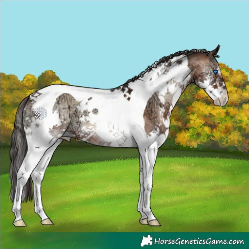 Horse Color:Brown Ice Onyx Splash Tobiano 