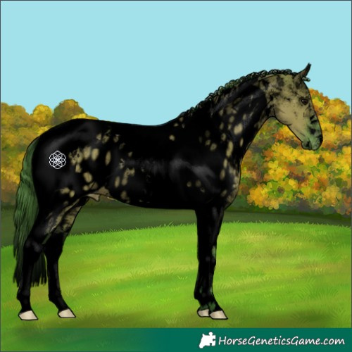 Horse Color:Void Watercolor Grullo Tobiano Appaloosa 