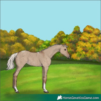 Horse Color:Silver Grullo Tobiano Brindle