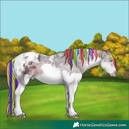Horse Color:Painted Brown Splash Tobiano Appaloosa 