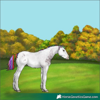 Horse Color:Painted Liver Red Dun Splash Tobiano Varnish 