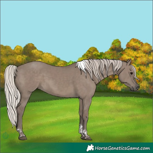 Horse Color:Silver Grullo Tobiano Brindle 