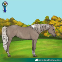 Horse Color:Silver Grullo Tobiano Brindle