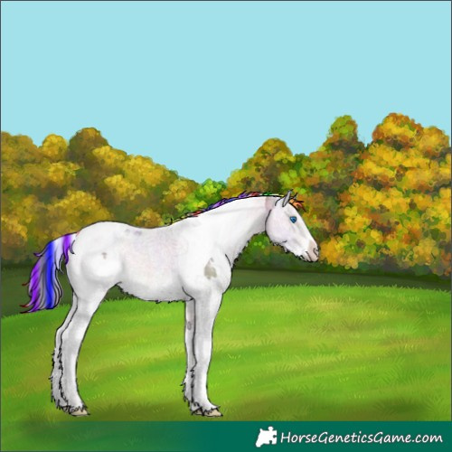 Horse Color:Painted Nacre Sable Champagne Splash Tobiano 