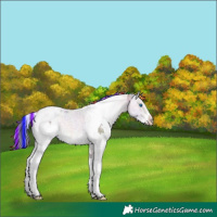 Horse Color:Painted Nacre Sable Champagne Splash Tobiano 