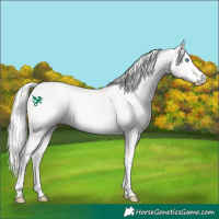 Horse Color:Cremello 