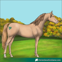 Horse Color:Gold Champagne 