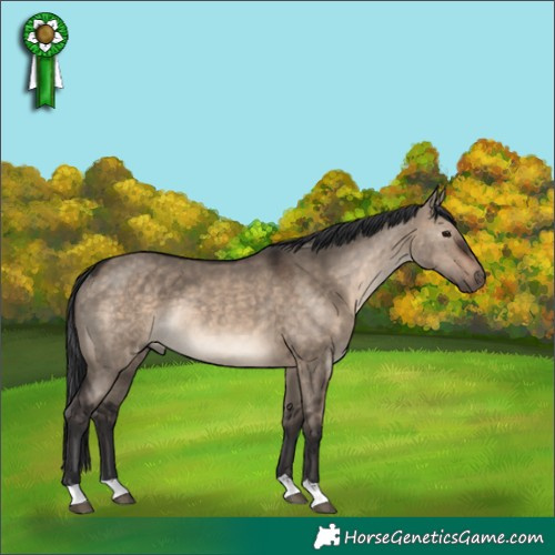 Horse Color:Brown Dun Rabicano