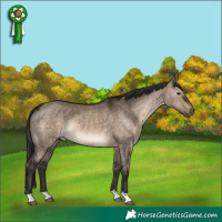 Horse Color:Brown Dun Rabicano