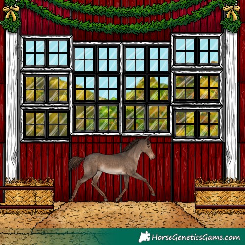 Horse Color:Liver Red Dun Rabicano 